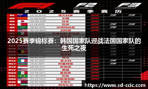 2025赛季锦标赛：韩国国家队迎战法国国家队的生死之夜