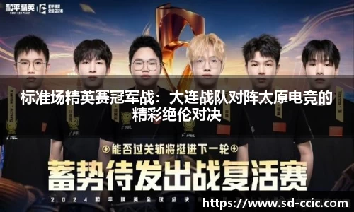 标准场精英赛冠军战：大连战队对阵太原电竞的精彩绝伦对决
