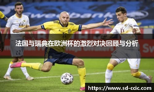 法国与瑞典在欧洲杯的激烈对决回顾与分析