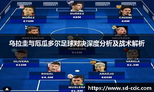 乌拉圭与厄瓜多尔足球对决深度分析及战术解析